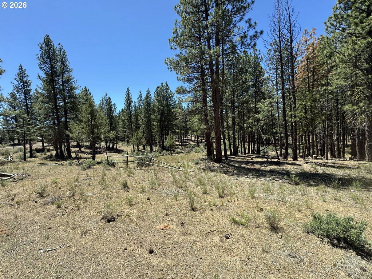 main property photo 13