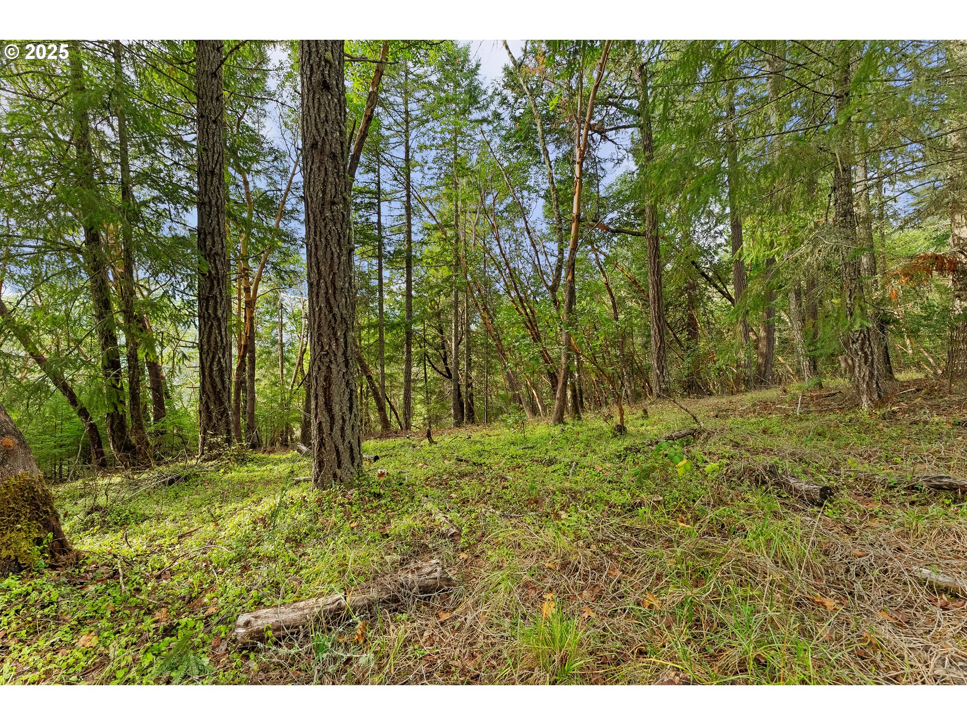main property photo 29