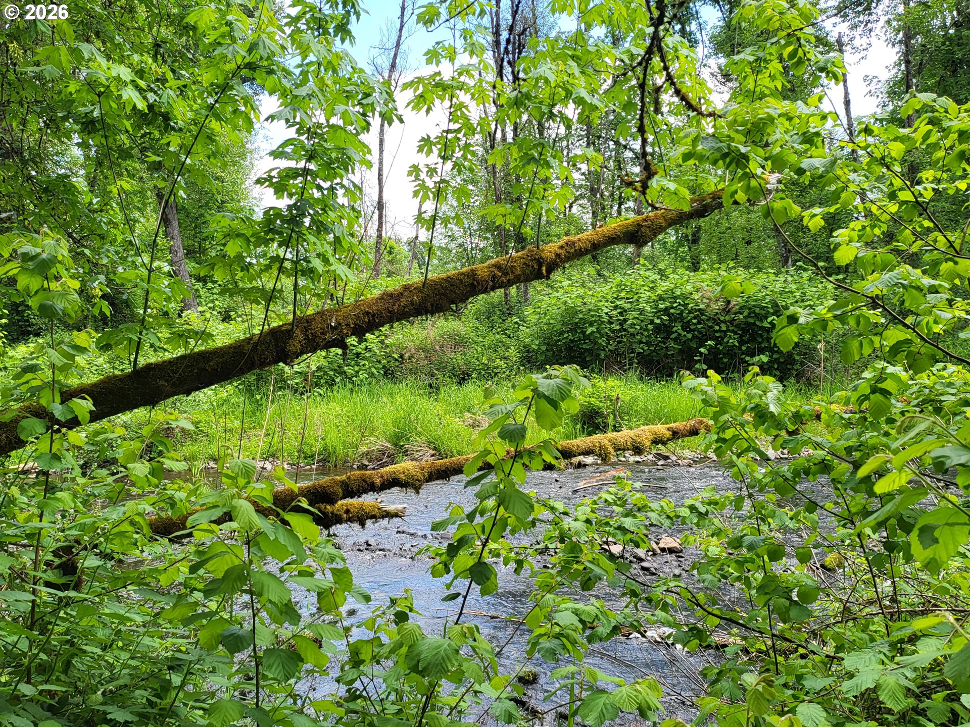 main property photo 14