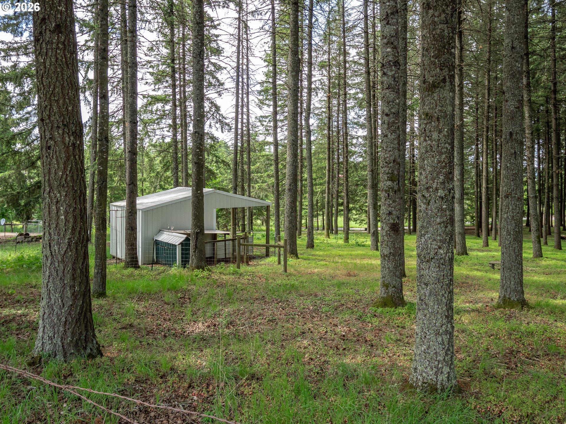 main property photo 46