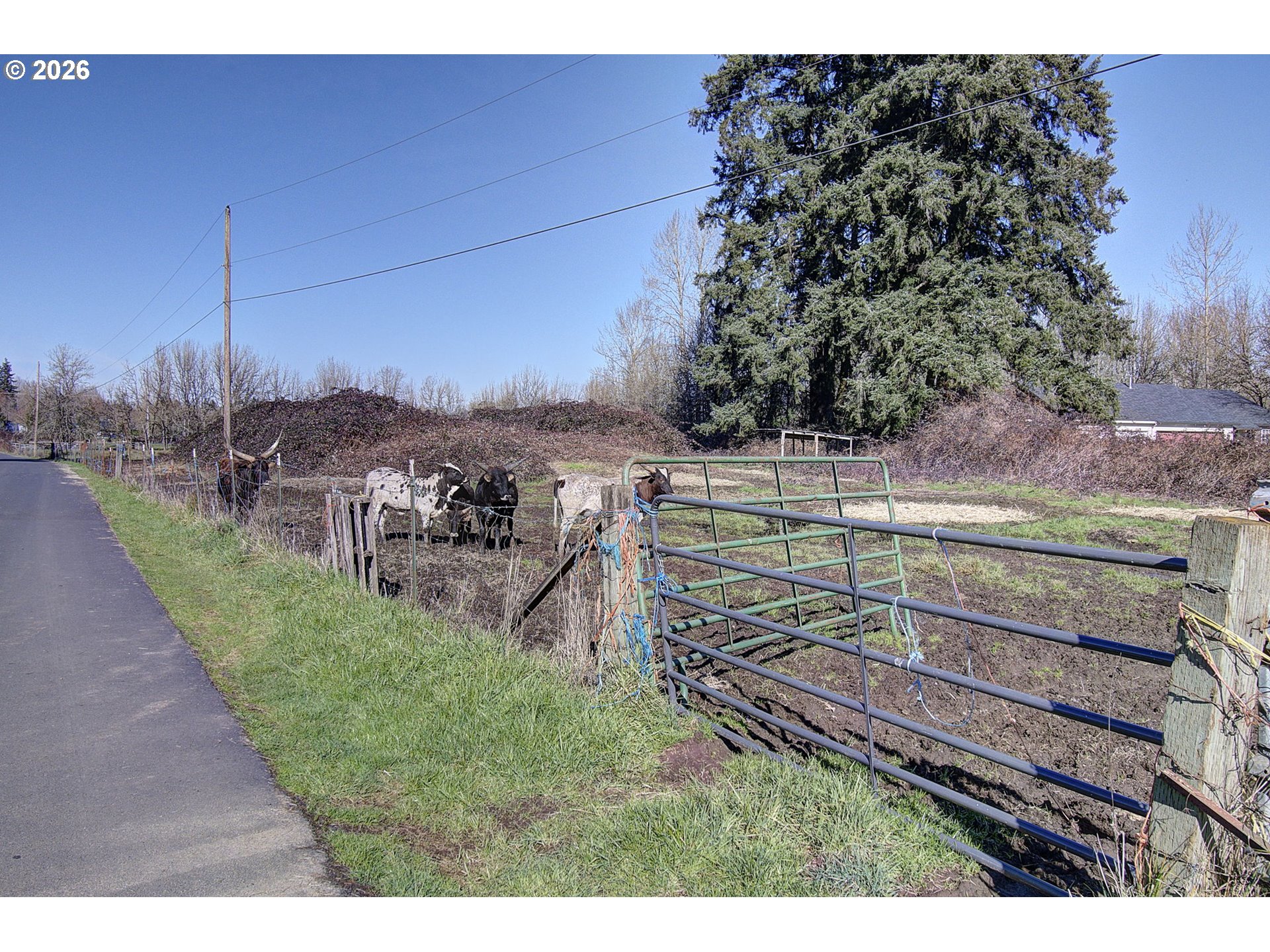 main property photo 20
