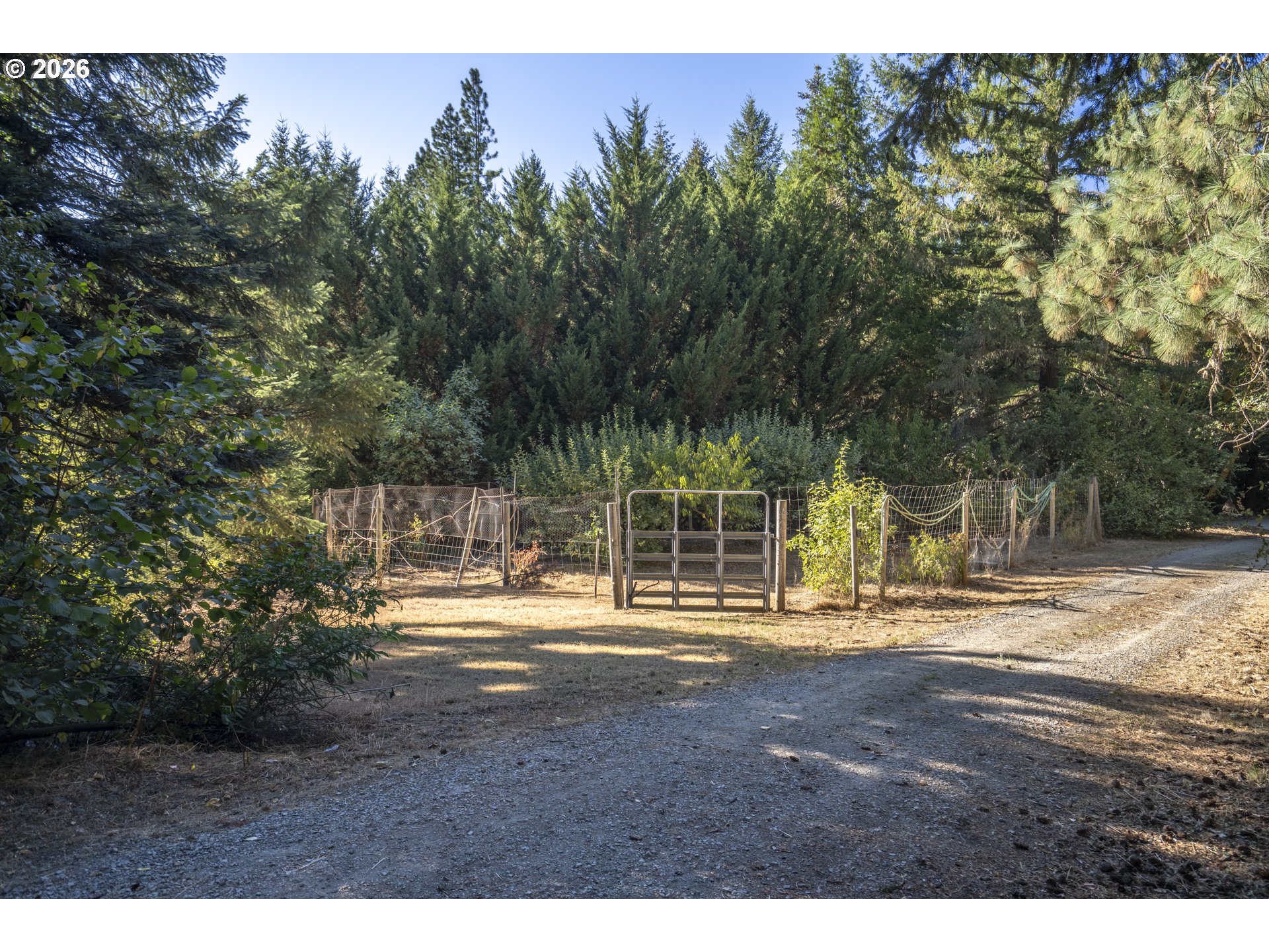 main property photo 39