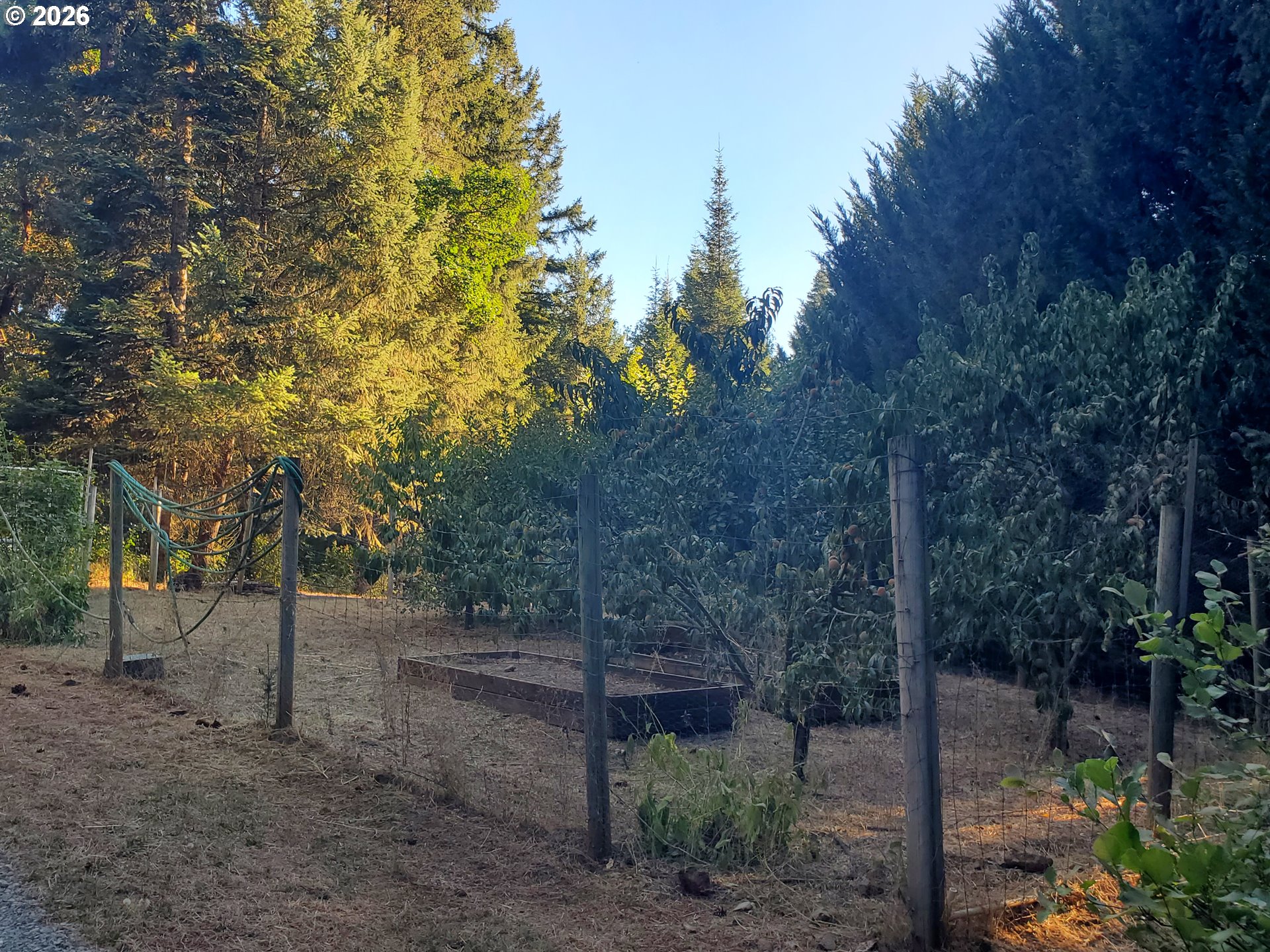 main property photo 40