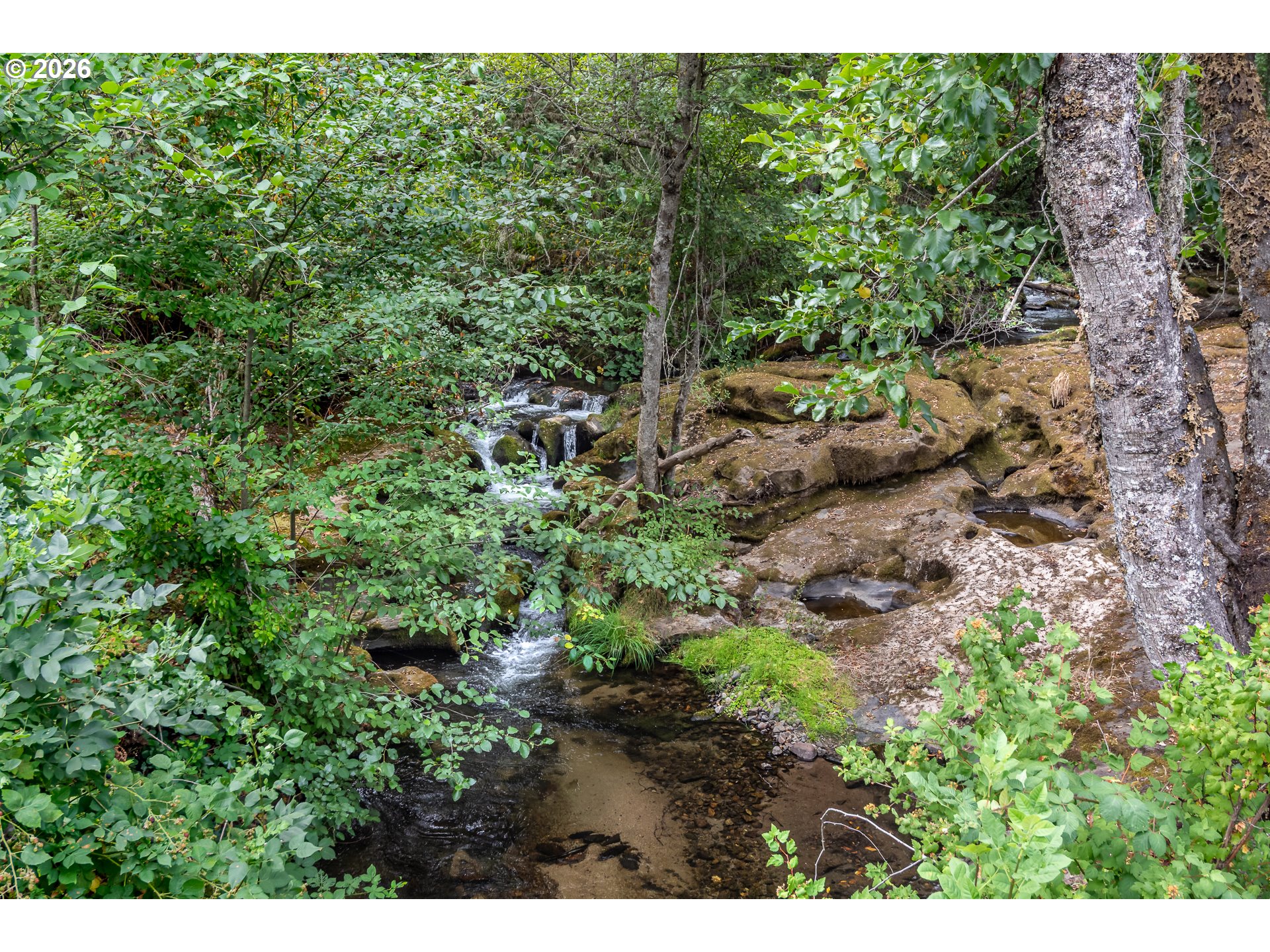 main property photo 26