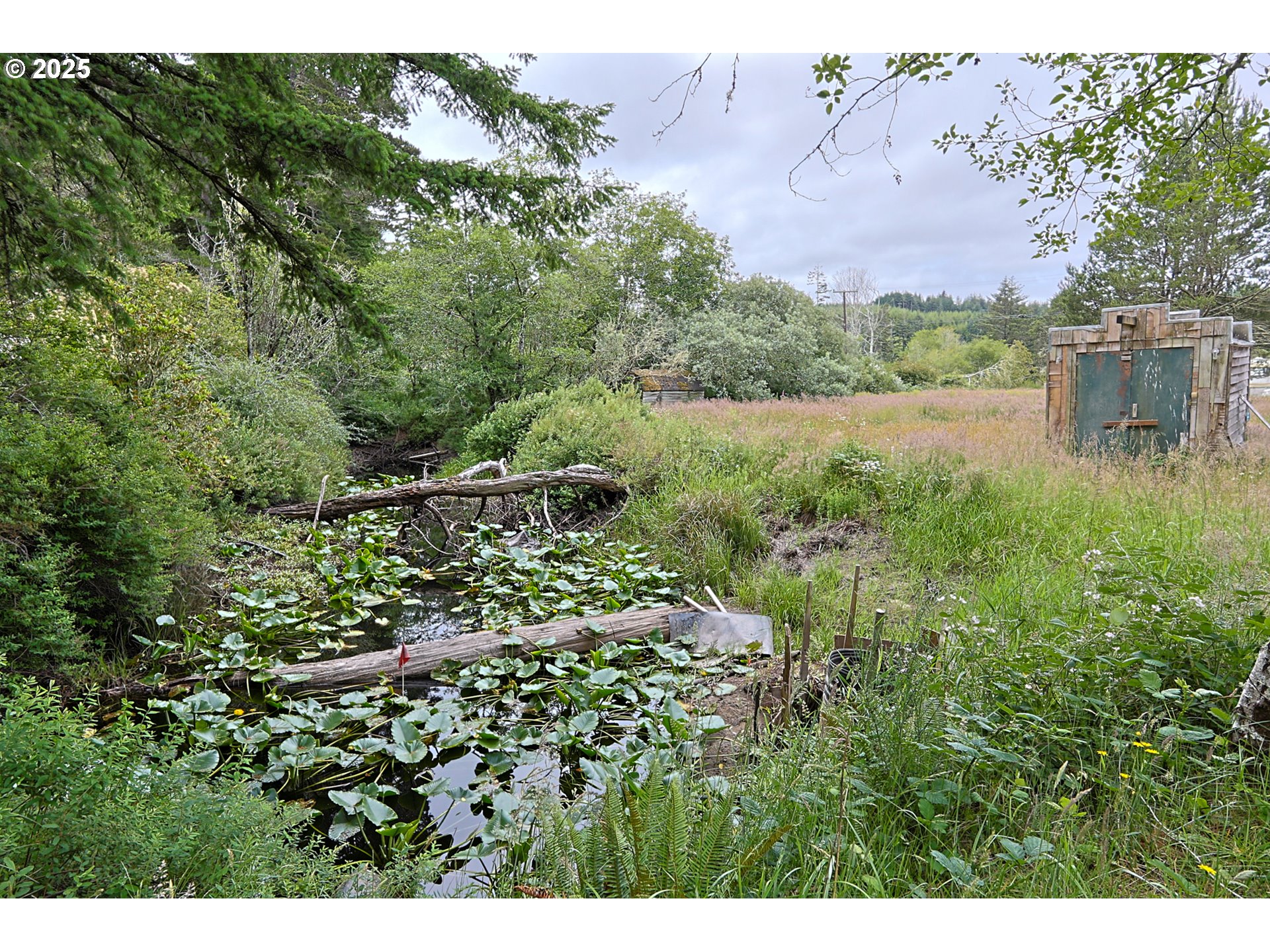 main property photo 12