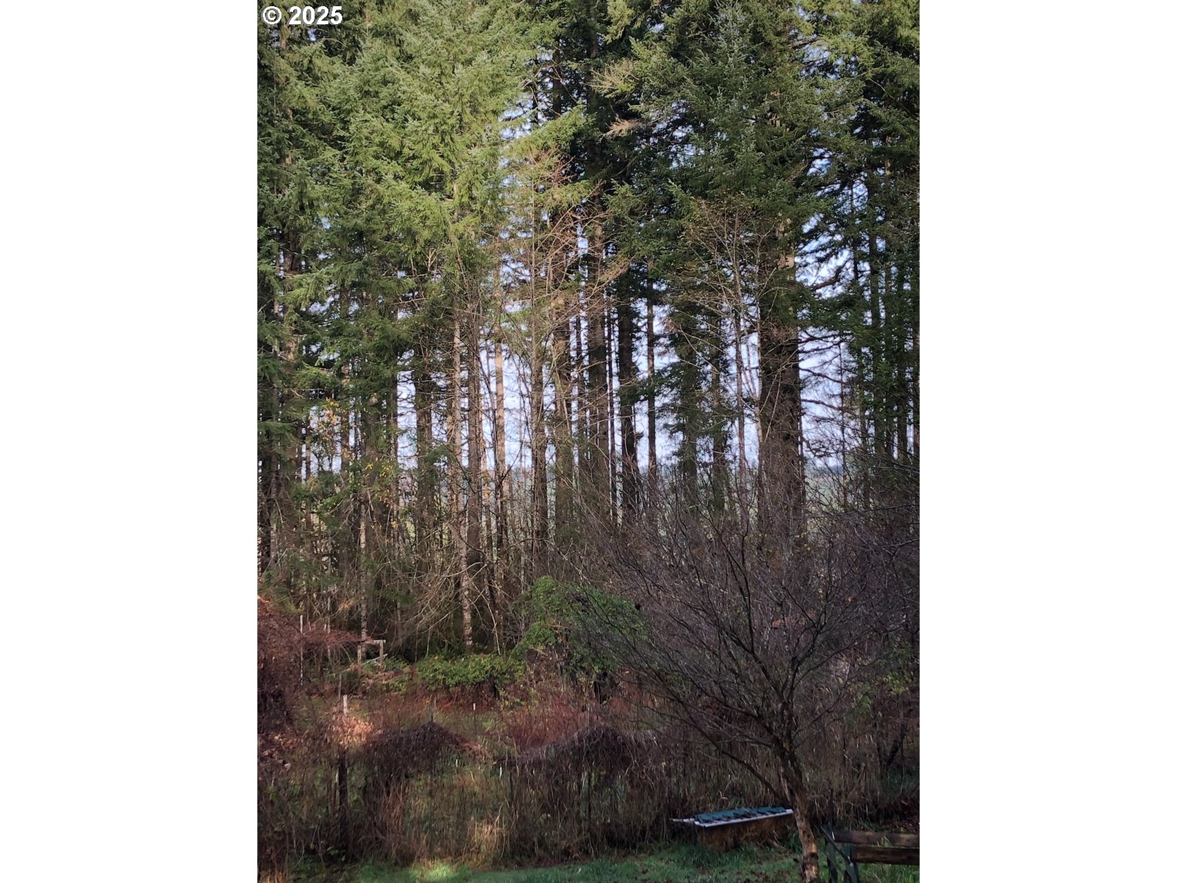 main property photo 37