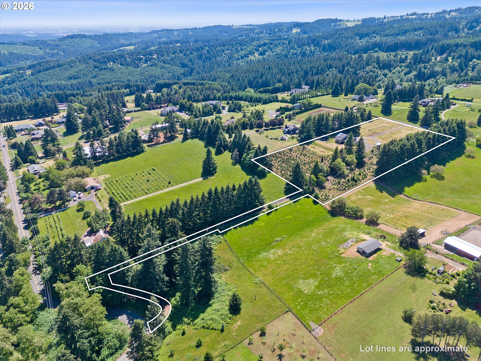 main property photo 41