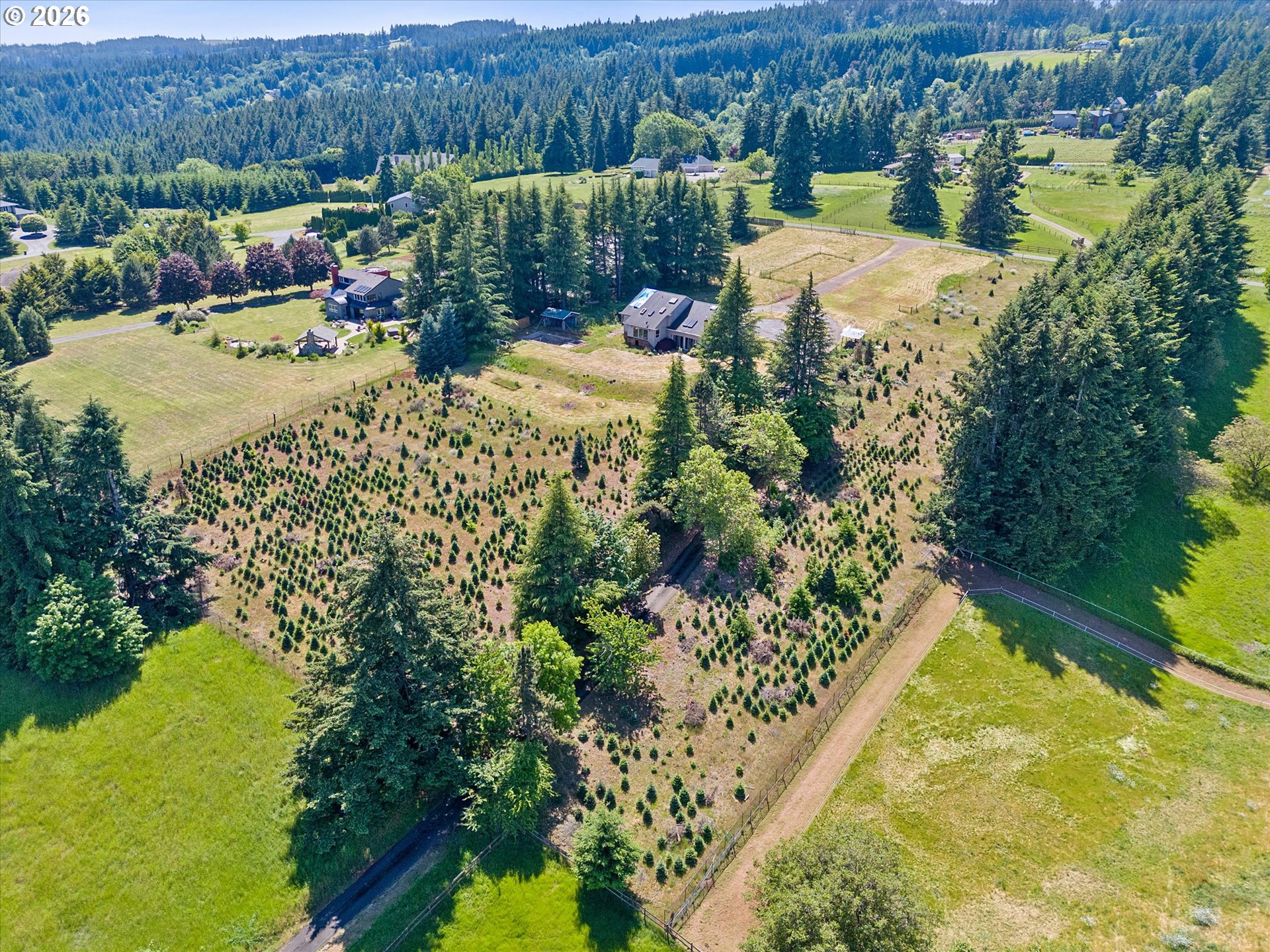 main property photo 42