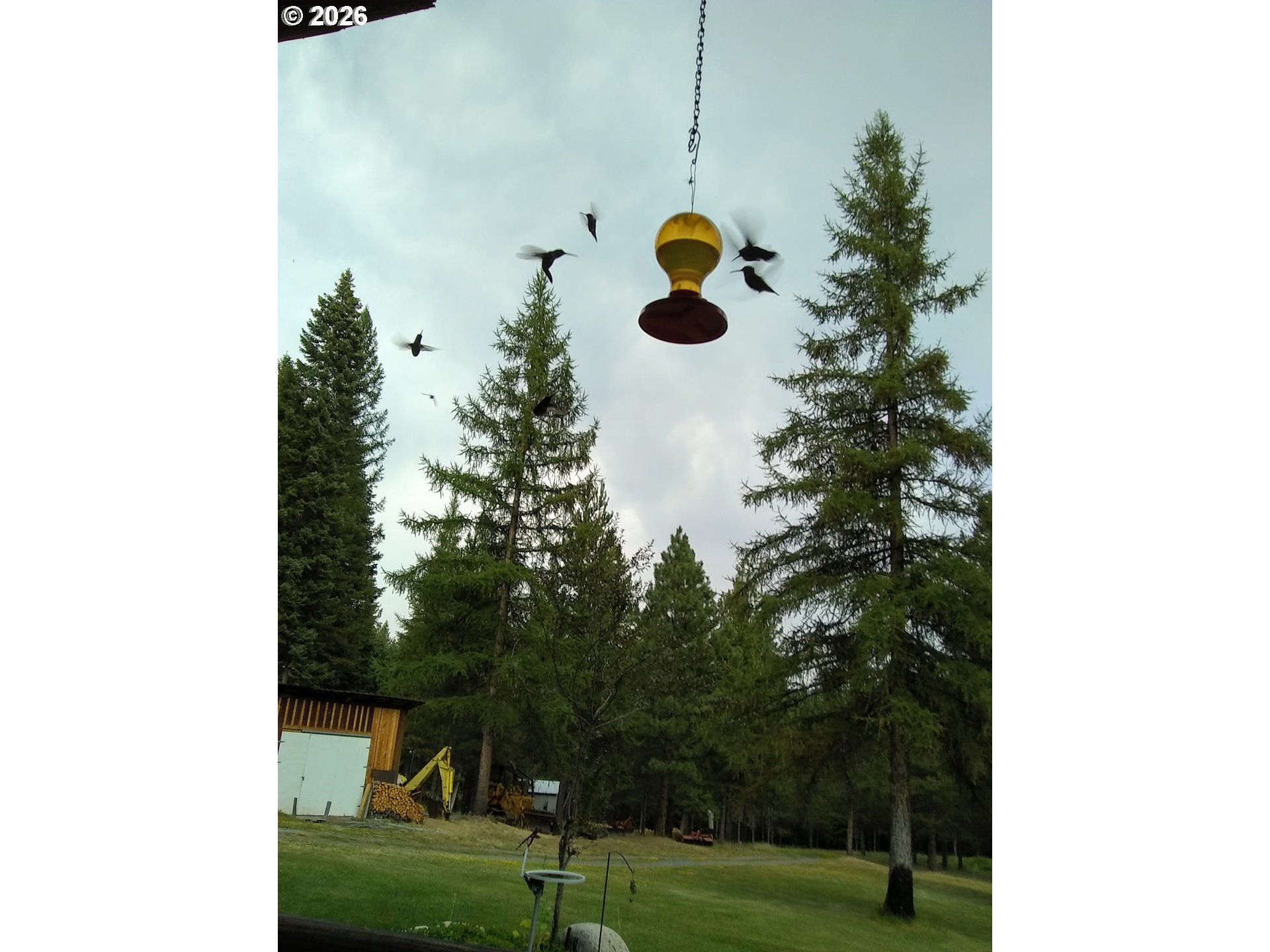 main property photo 34