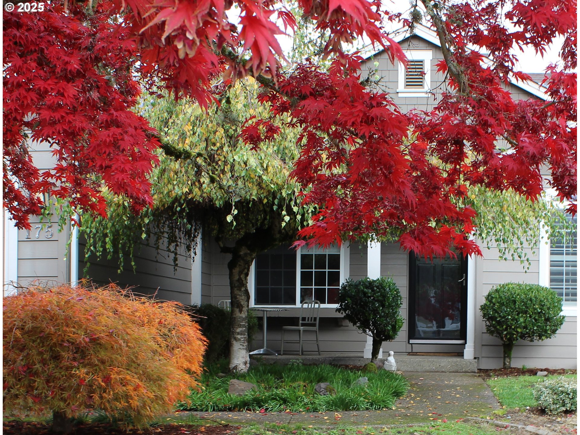 main property photo 0