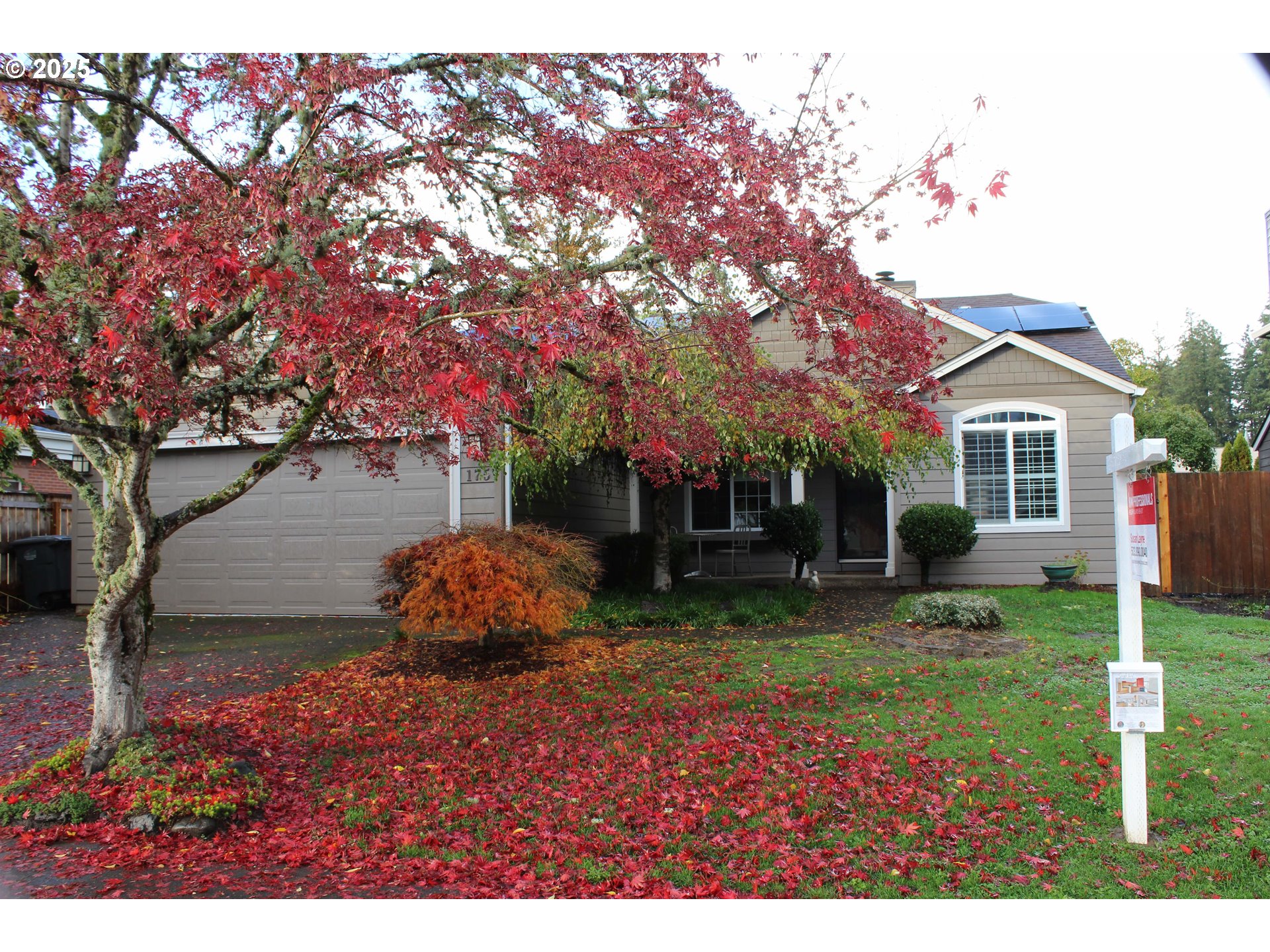 property viewer photo 1
