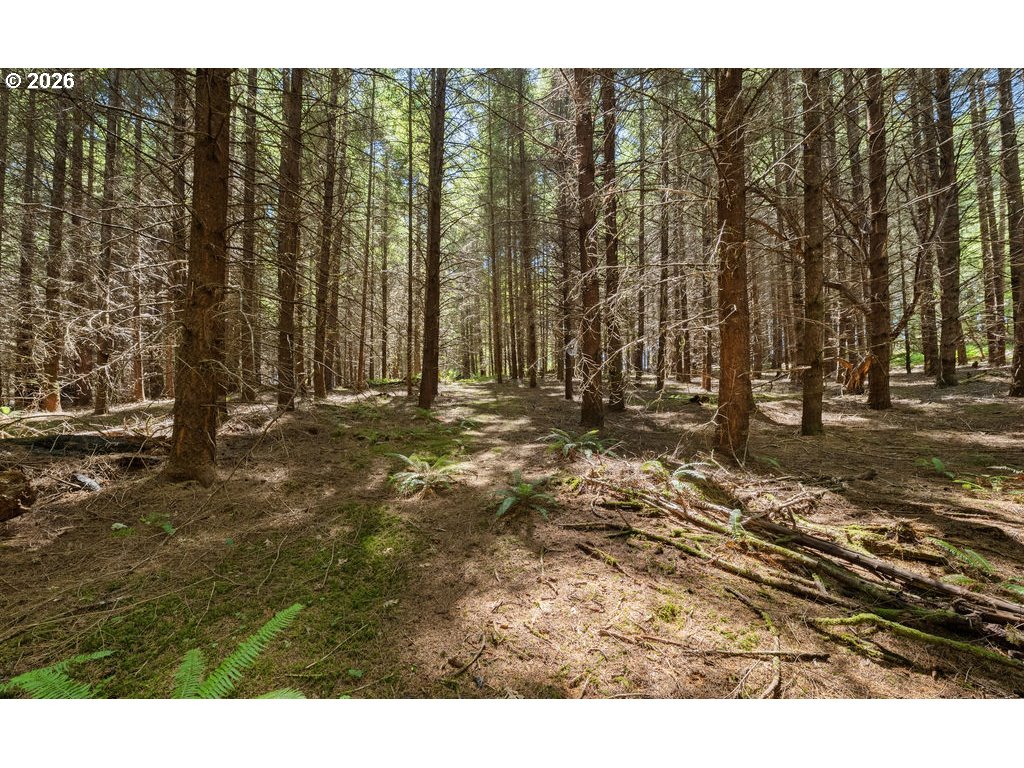 property viewer photo 11