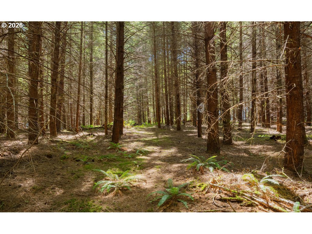 property viewer photo 12