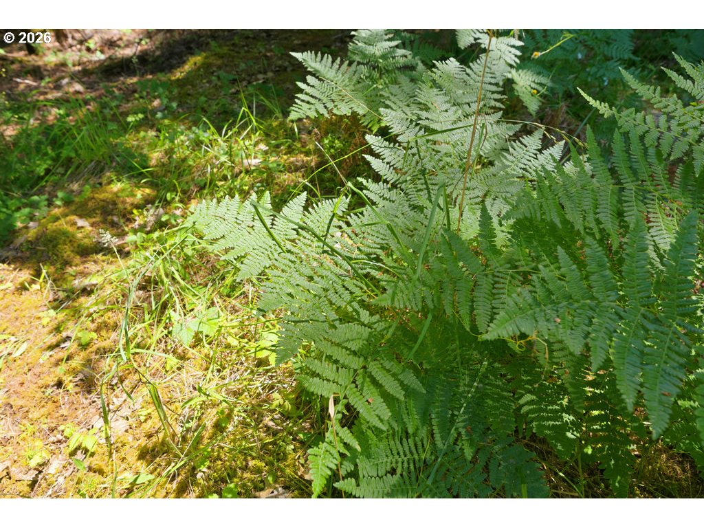 property viewer photo 16