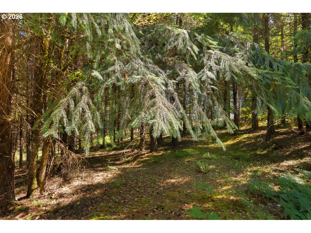 property viewer photo 17