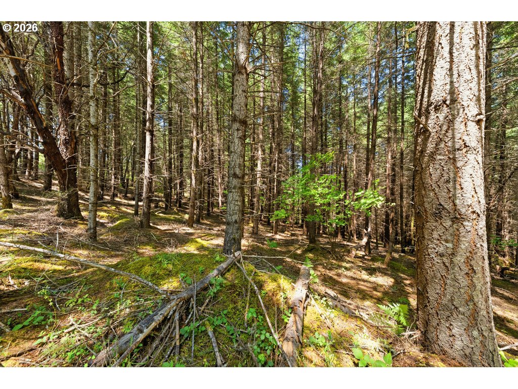 property viewer photo 2