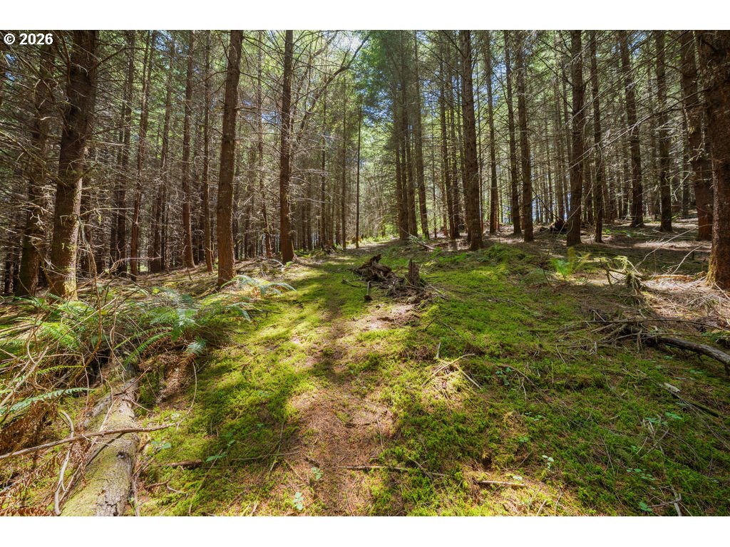 property viewer photo 3