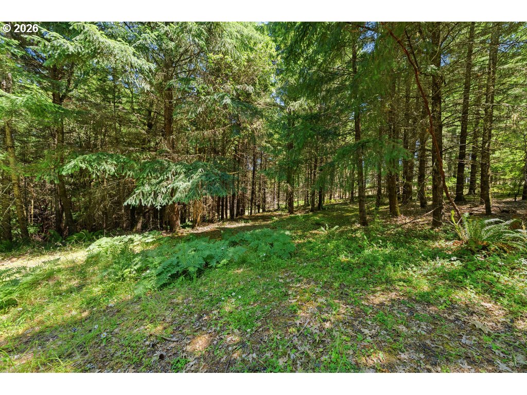 property viewer photo 32