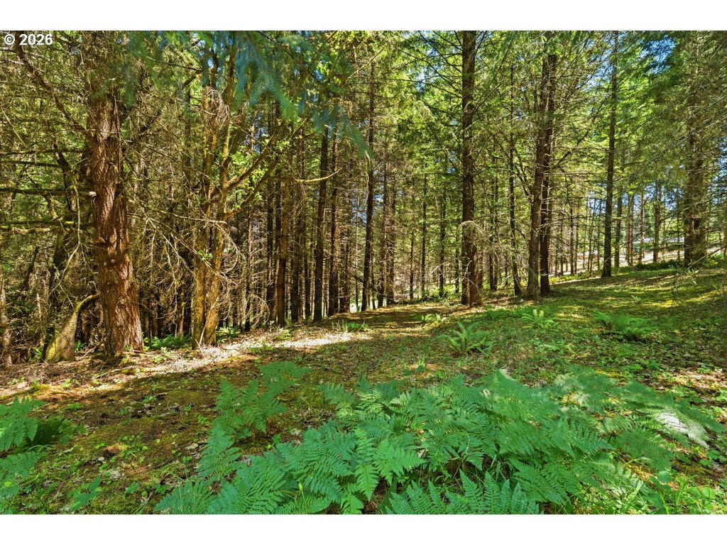 property viewer photo 33