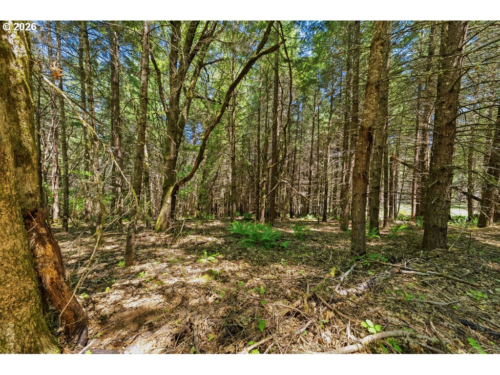 property viewer photo 34