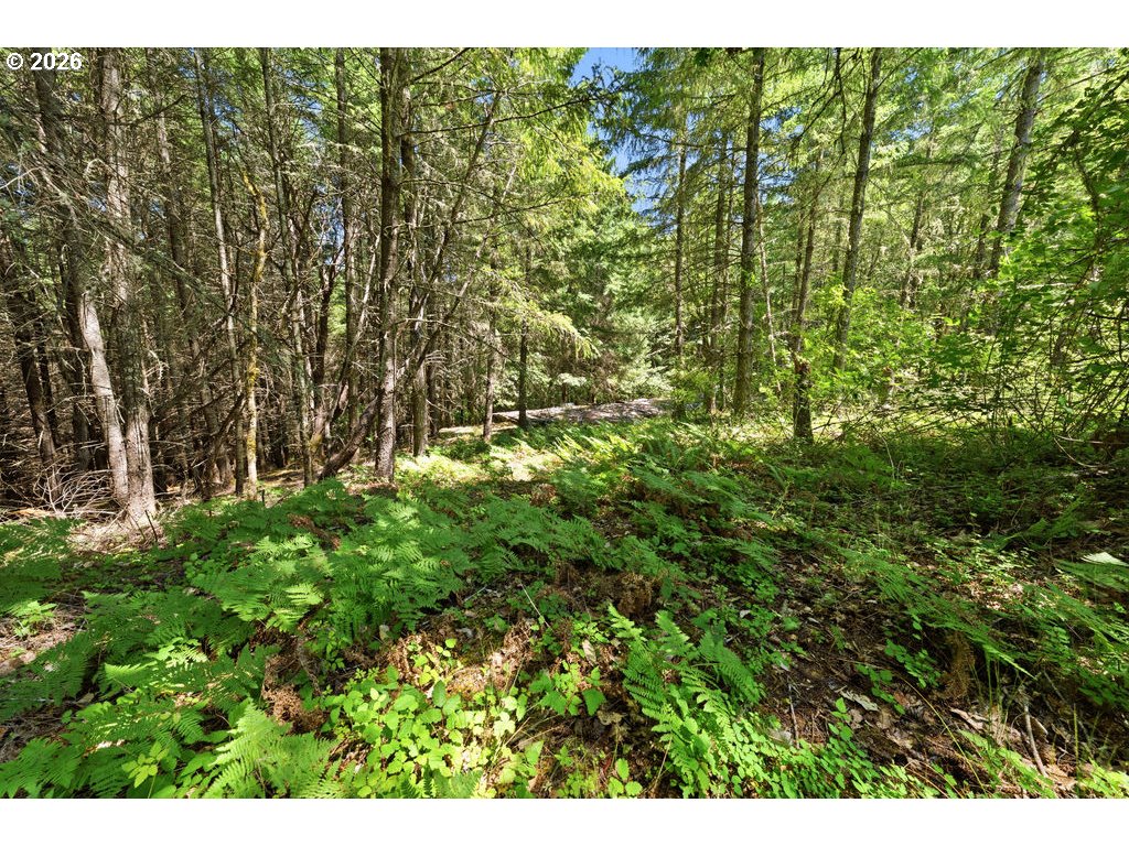 property viewer photo 4