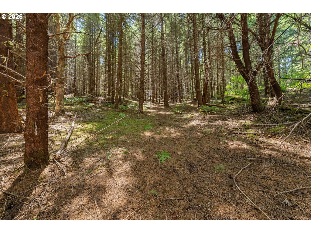 property viewer photo 42