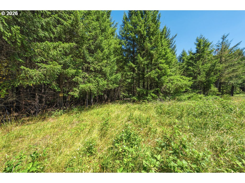 property viewer photo 45