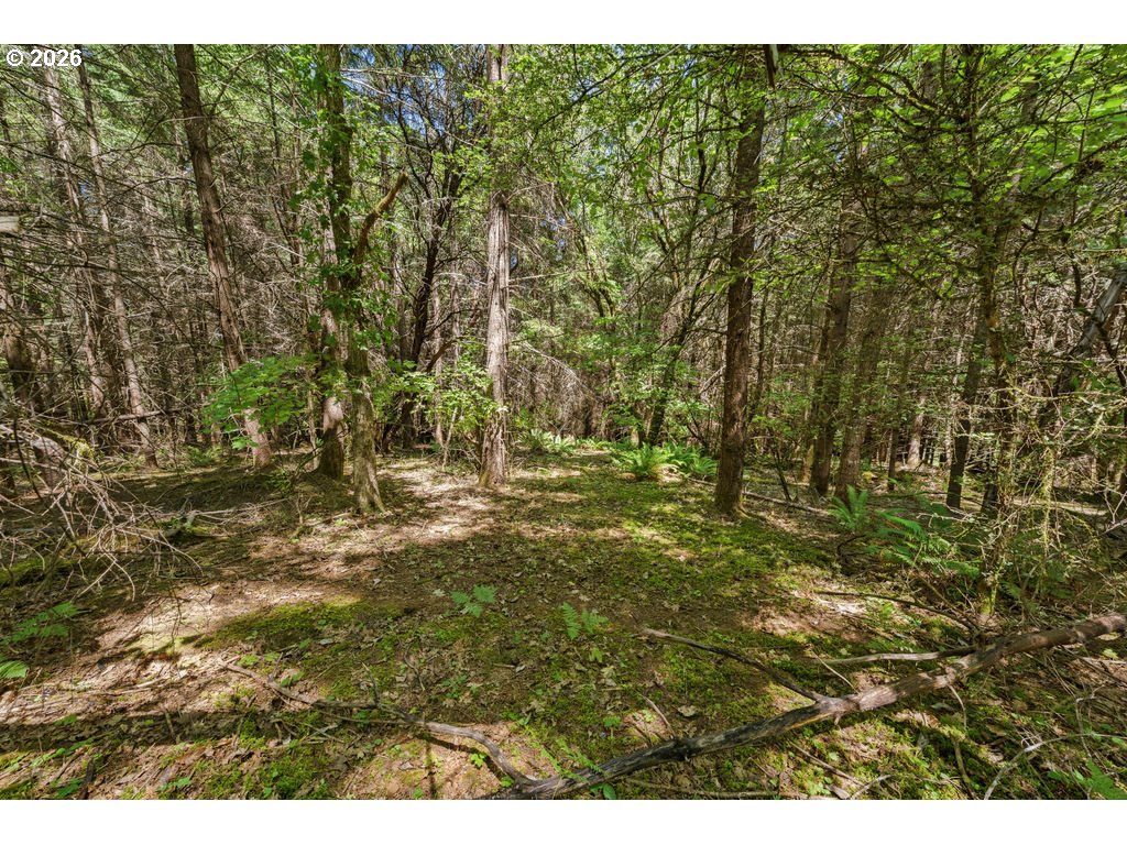 property viewer photo 46
