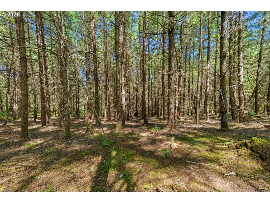 property viewer photo 6