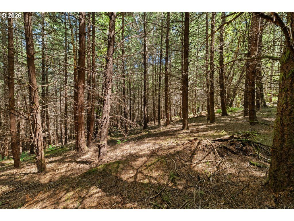 property viewer photo 7