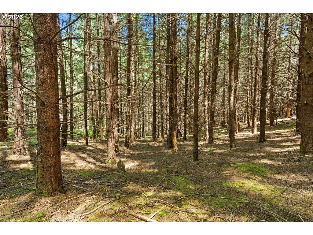 property viewer photo 8