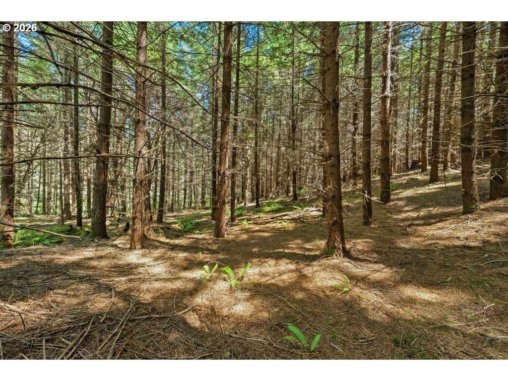 property viewer photo 9