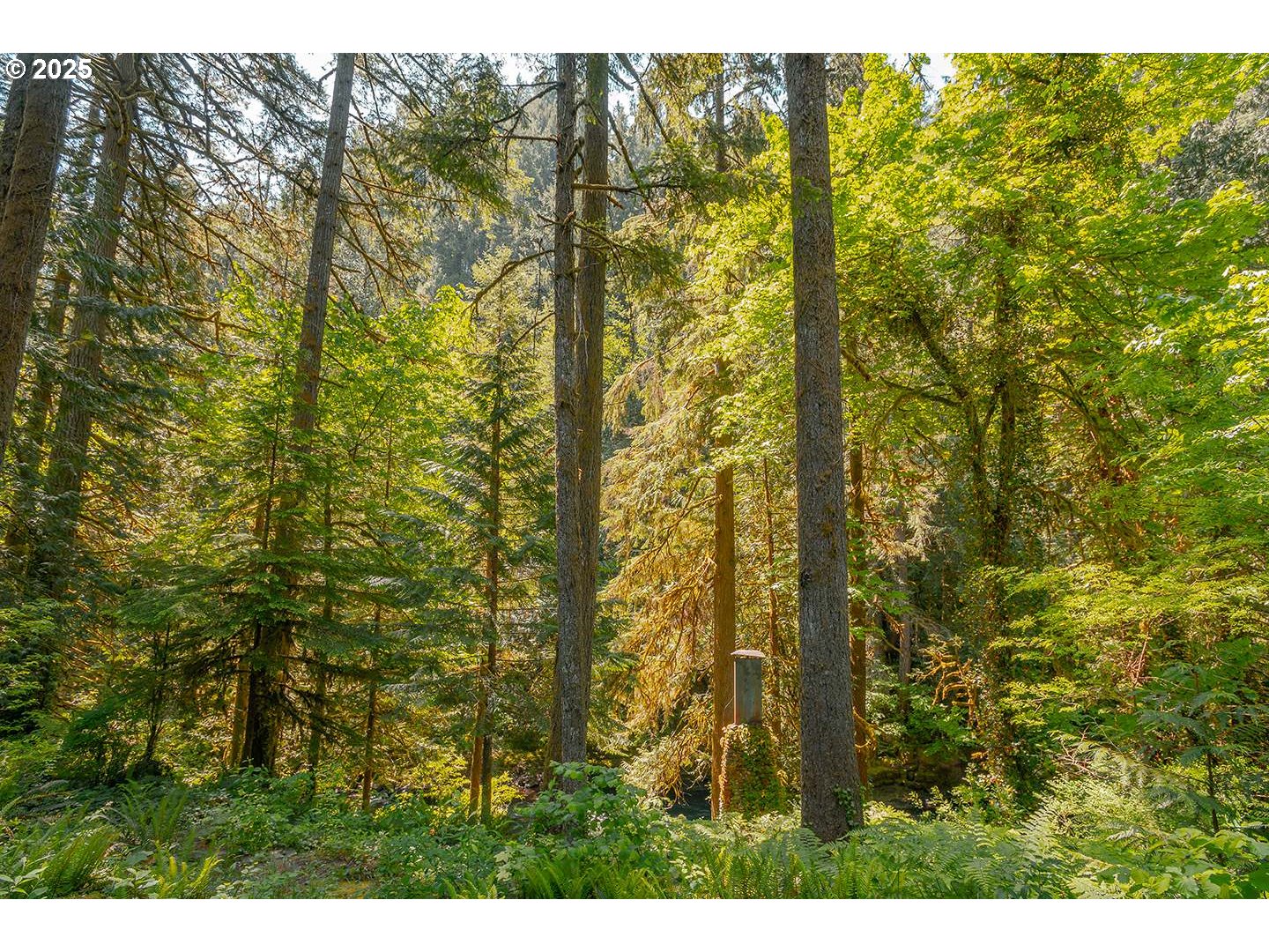 property viewer photo 38