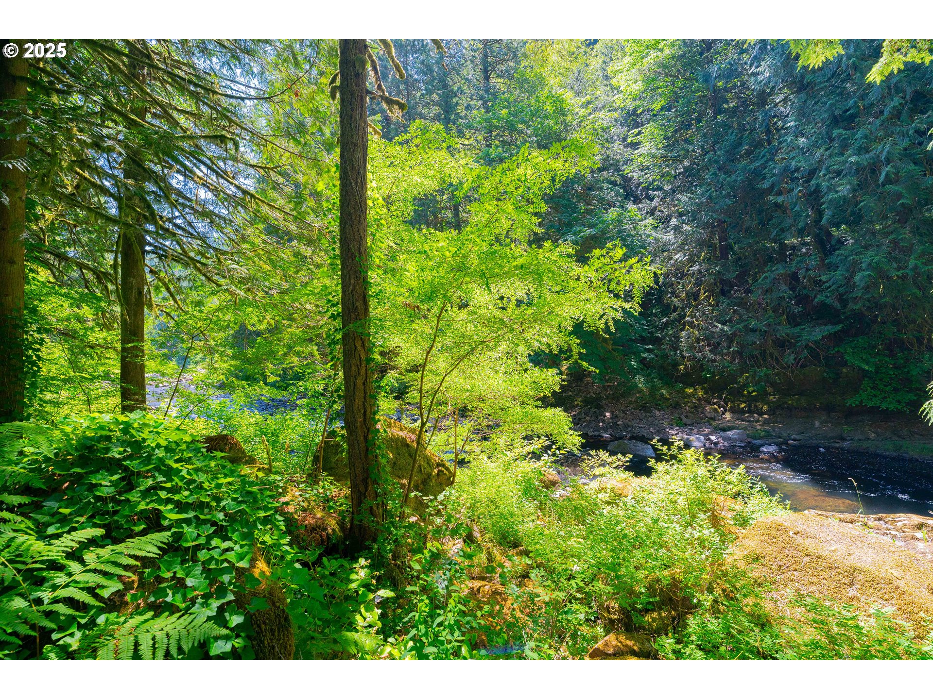 property viewer photo 39