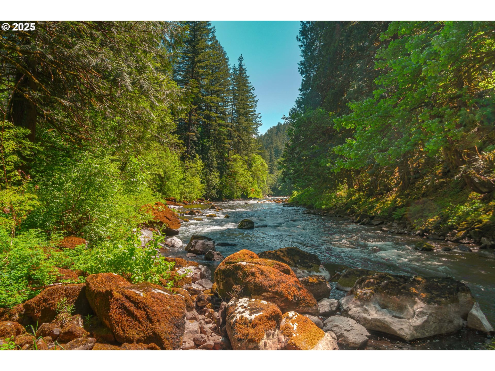 property viewer photo 5
