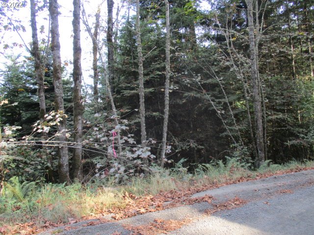 main property photo 25