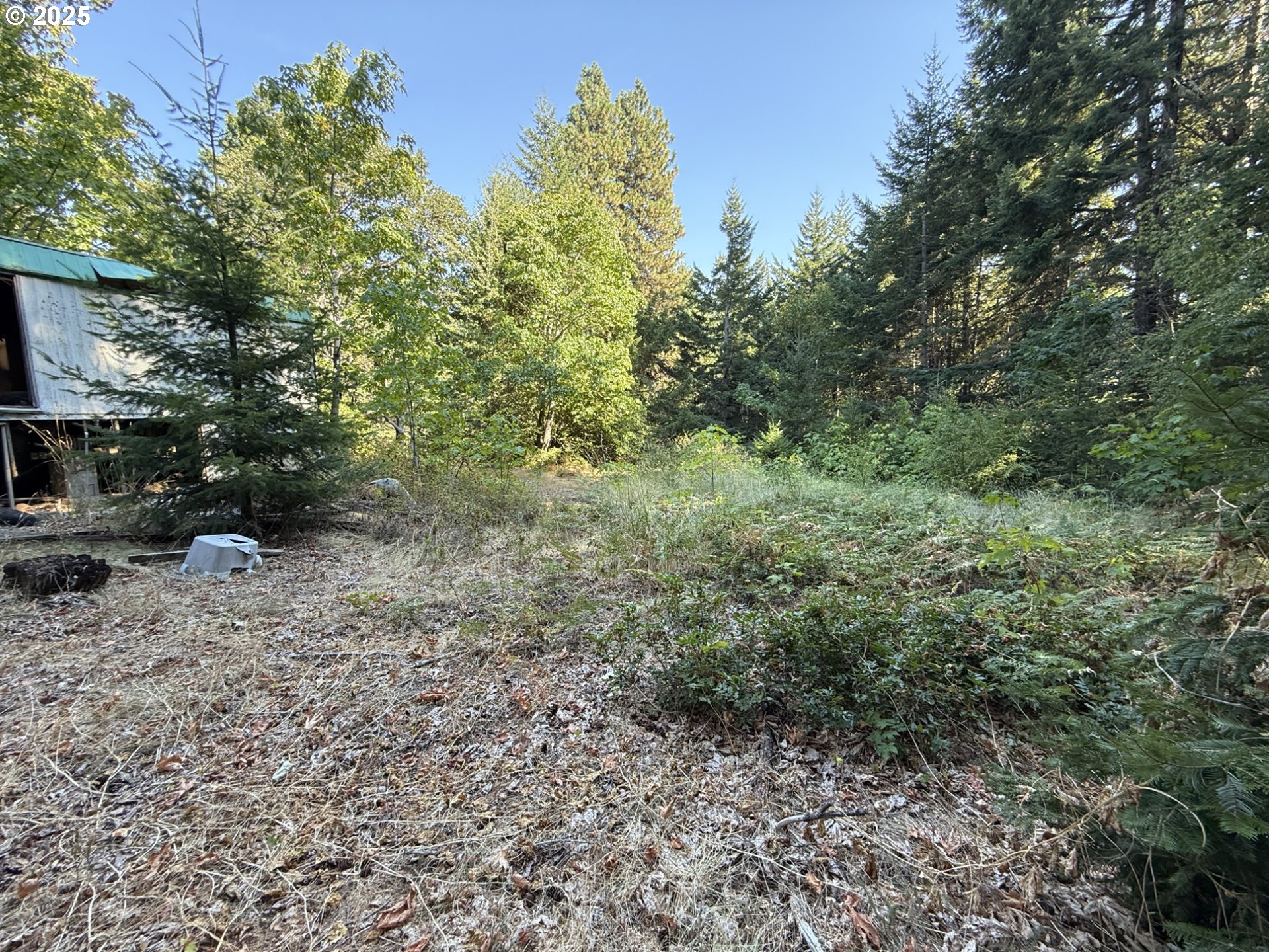 main property photo 42