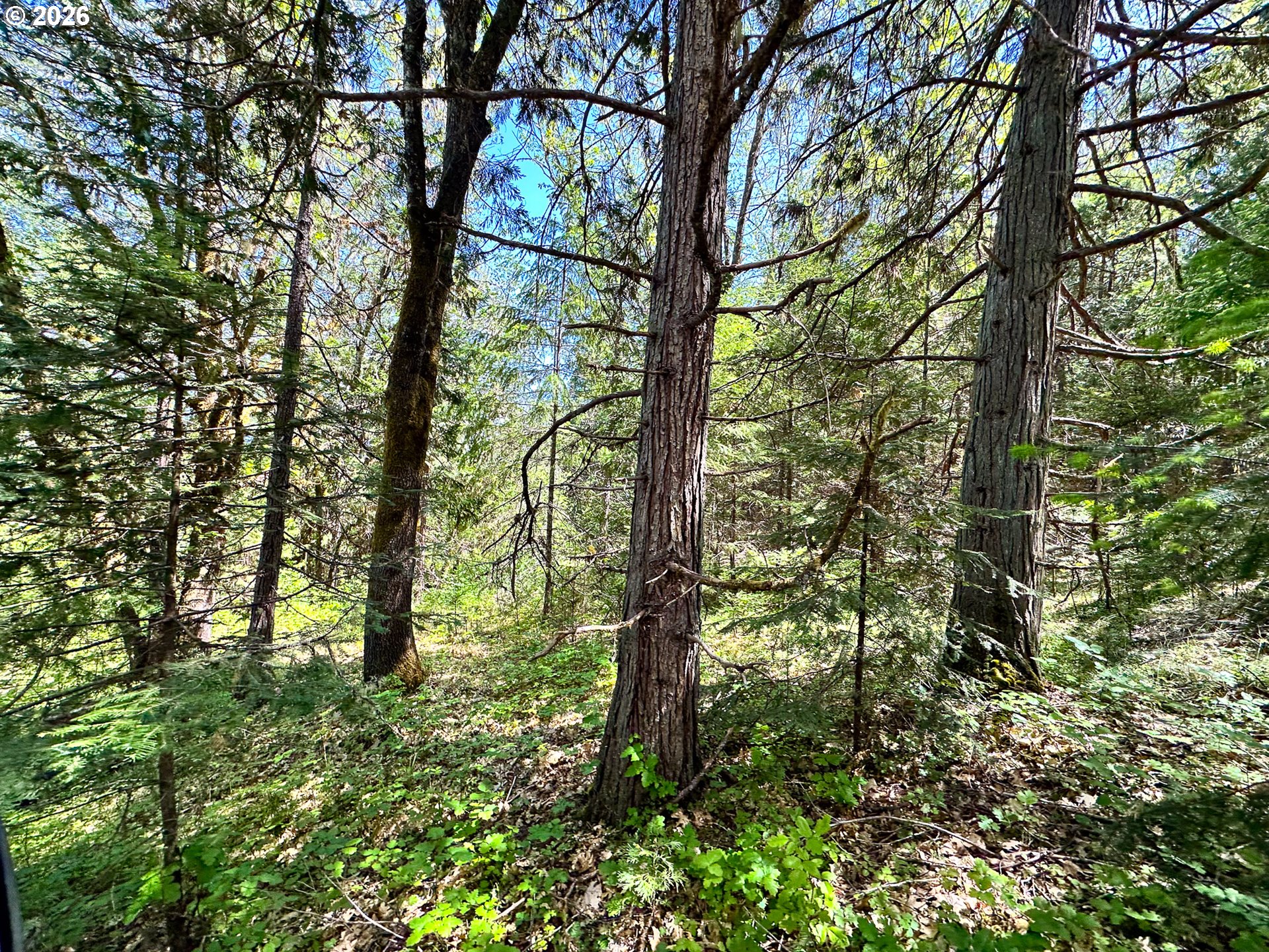 main property photo 24