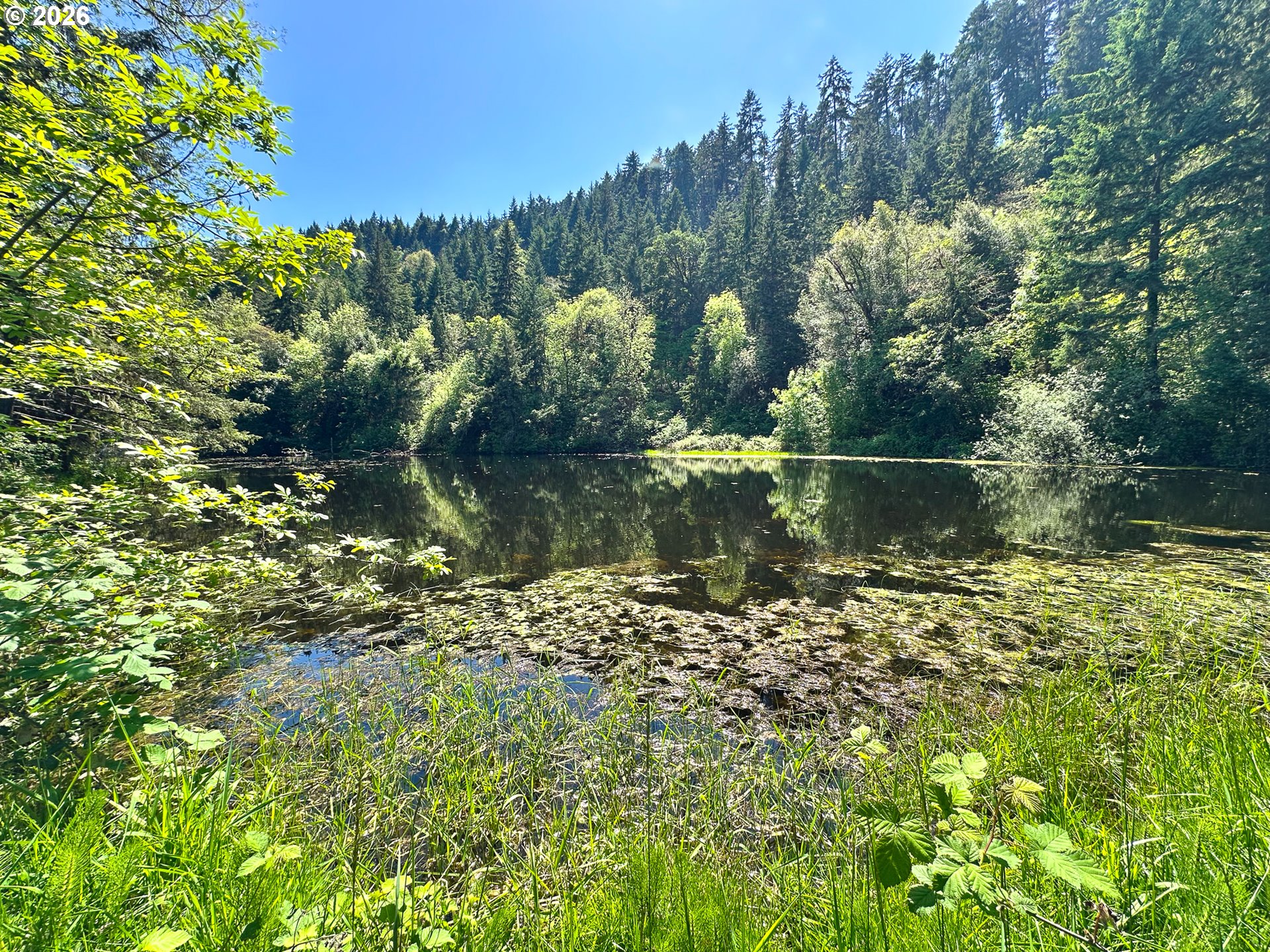 main property photo 40