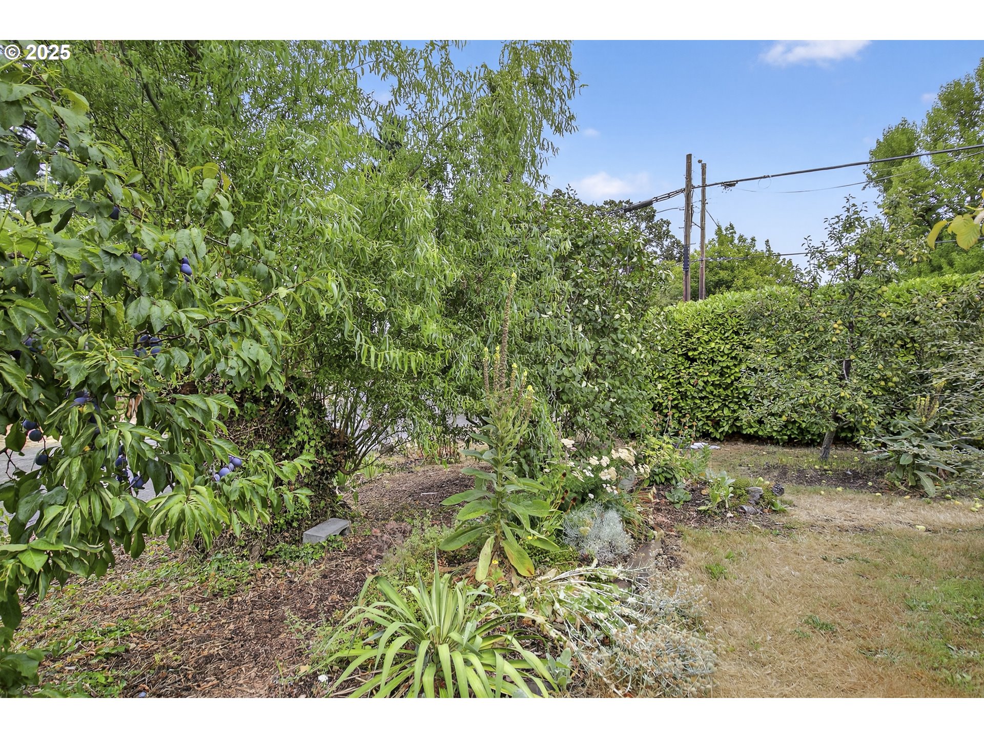 property viewer photo 35