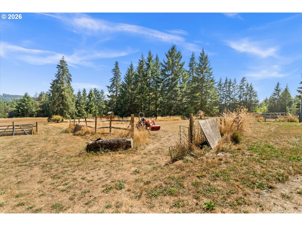 main property photo 41