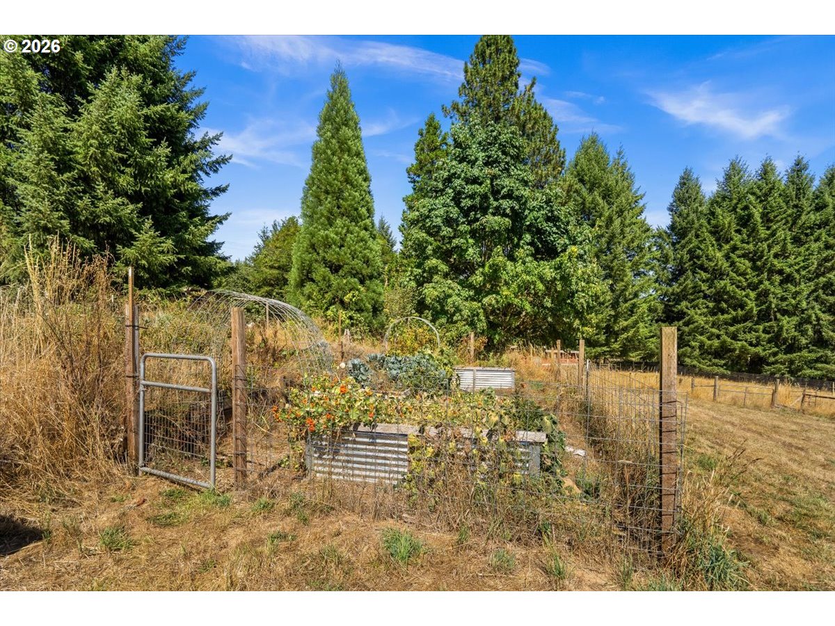 main property photo 43