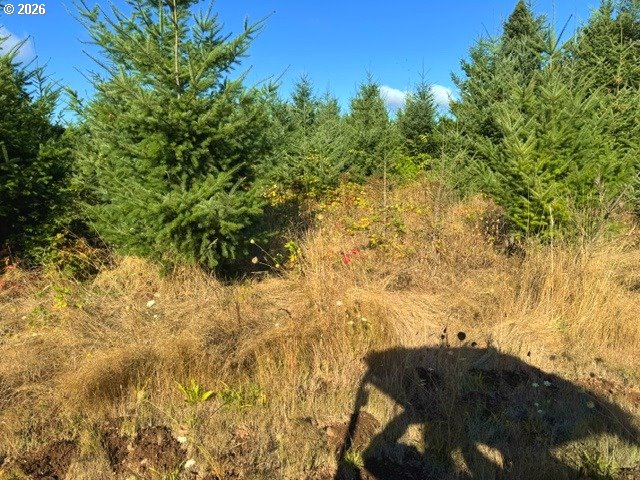 main property photo 24