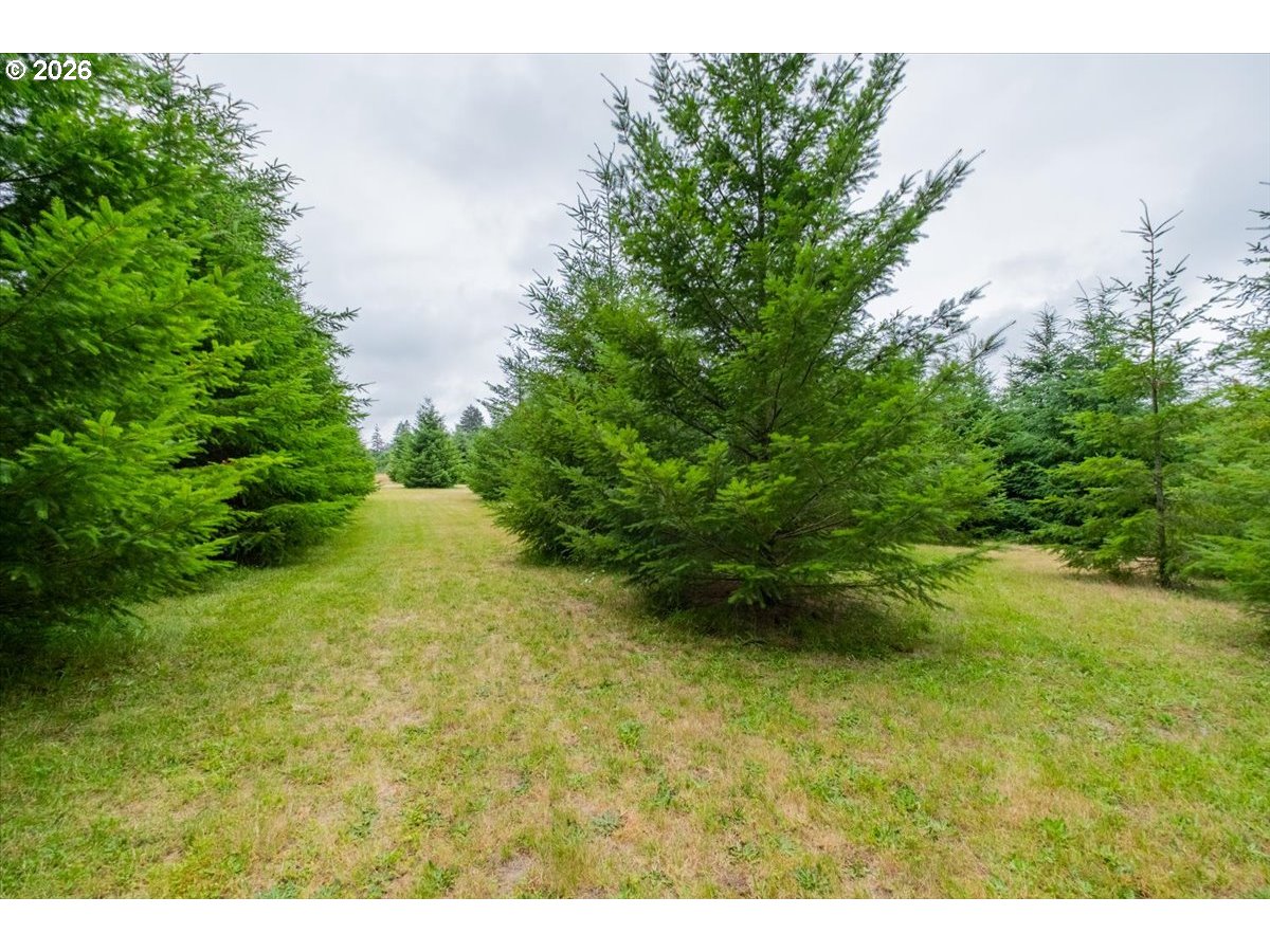 main property photo 35