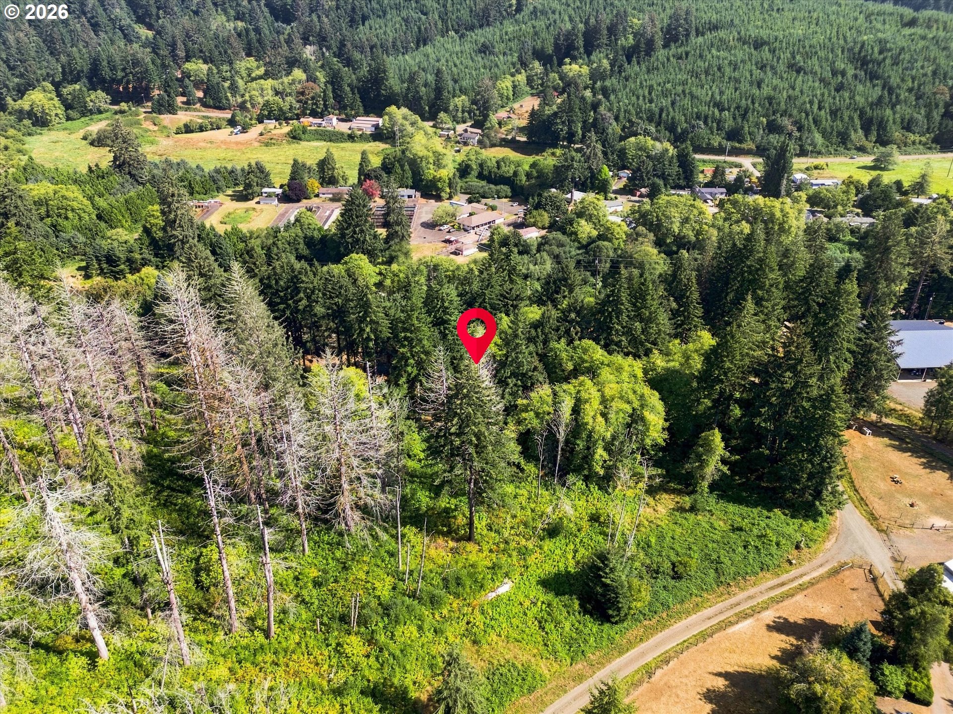 main property photo 19