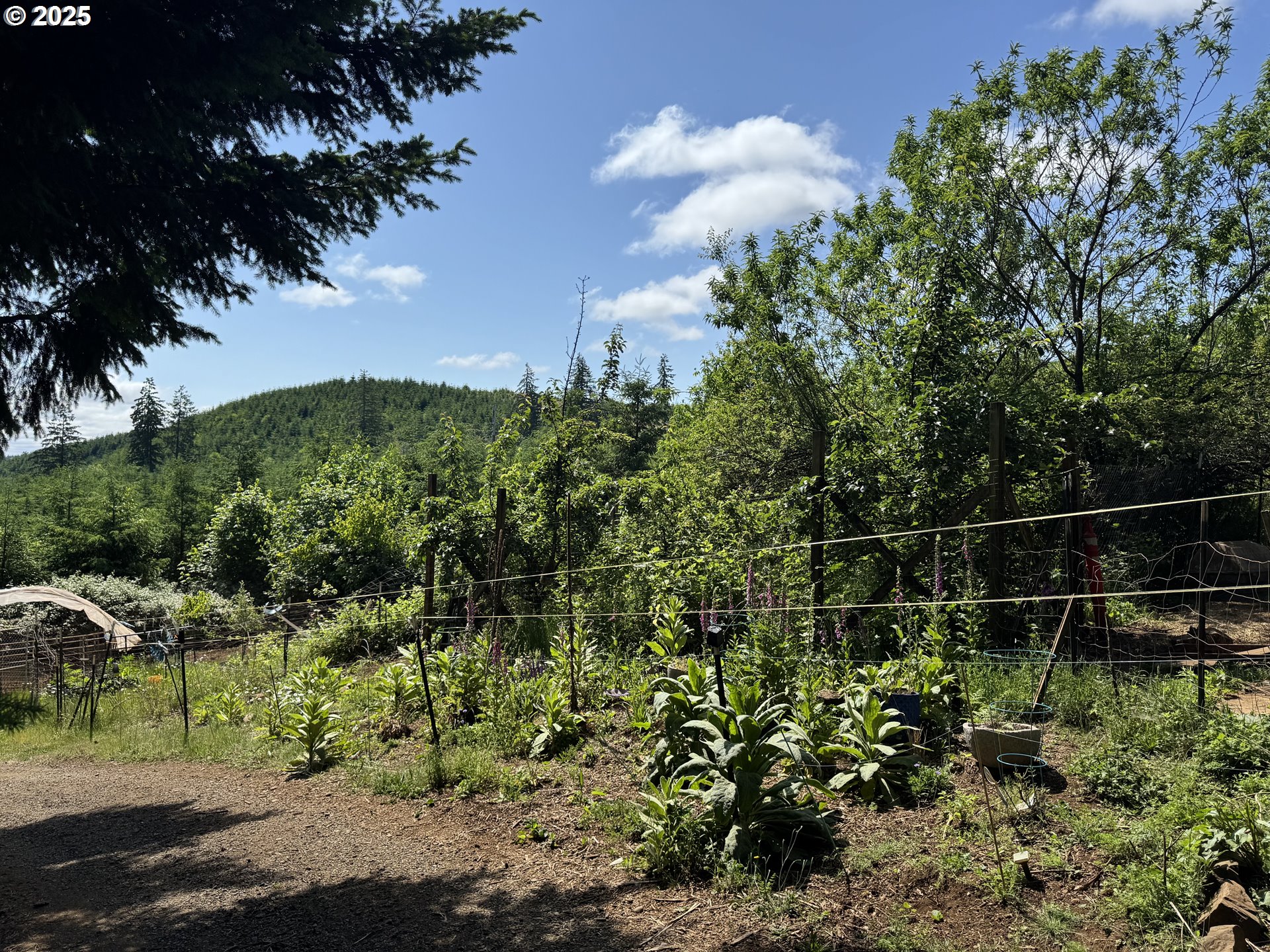 main property photo 39