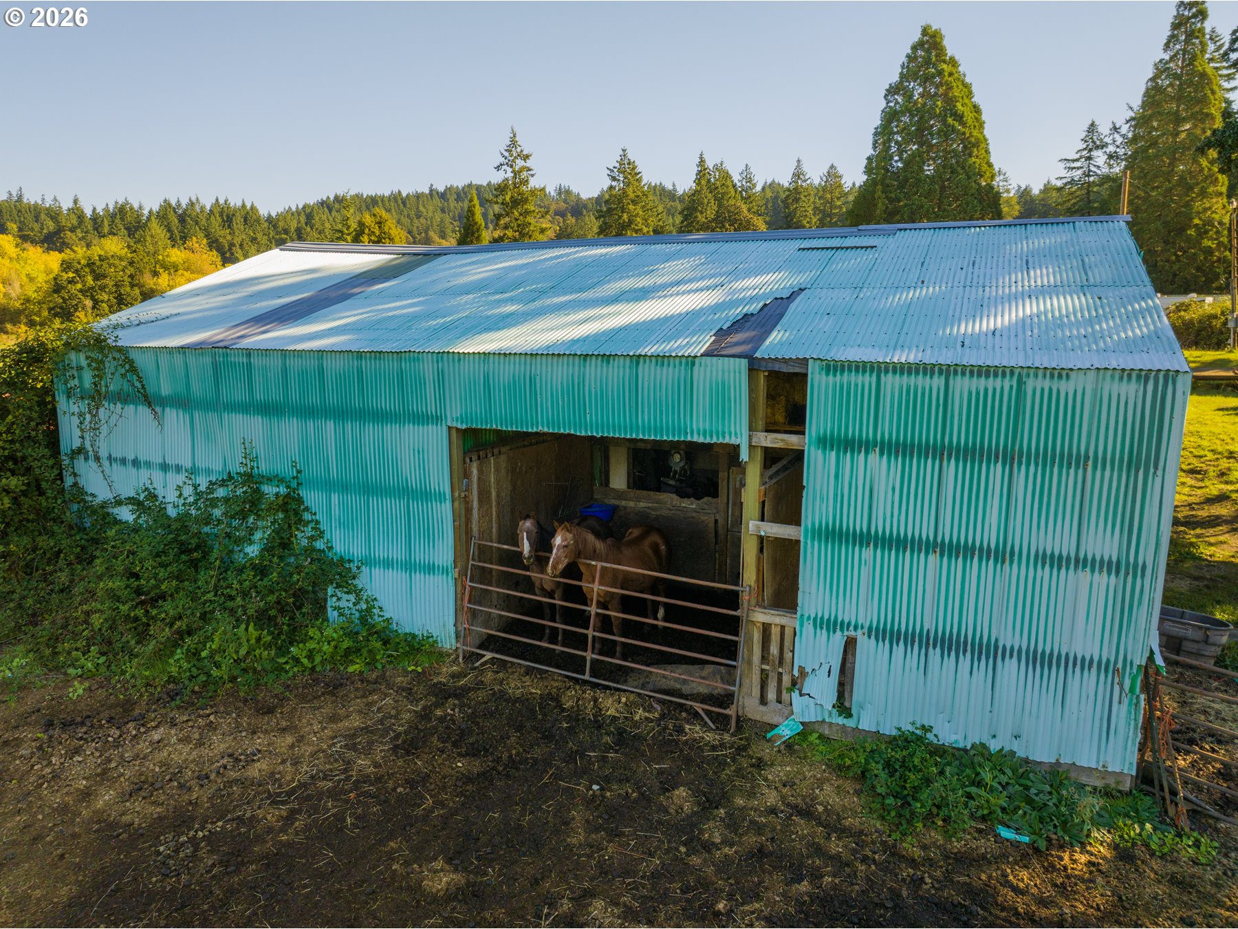 main property photo 13