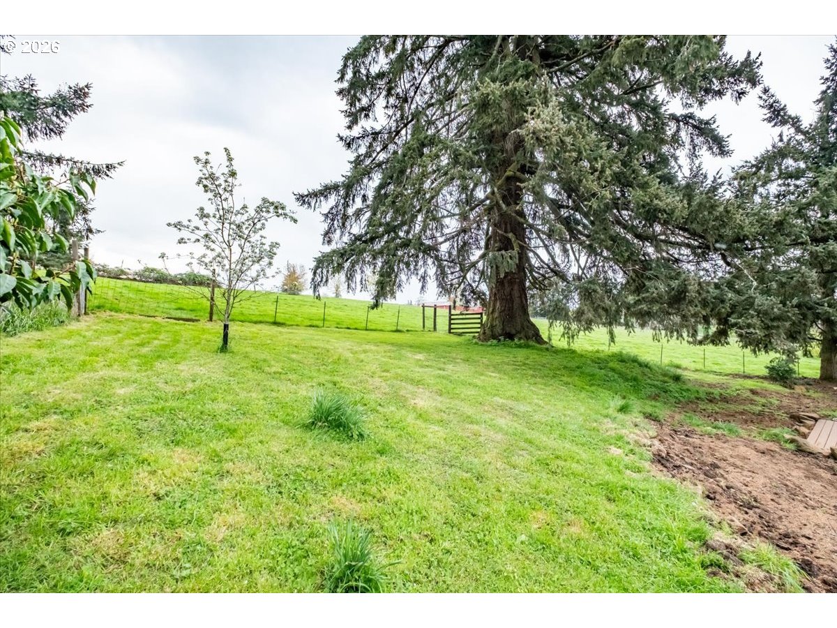 main property photo 47