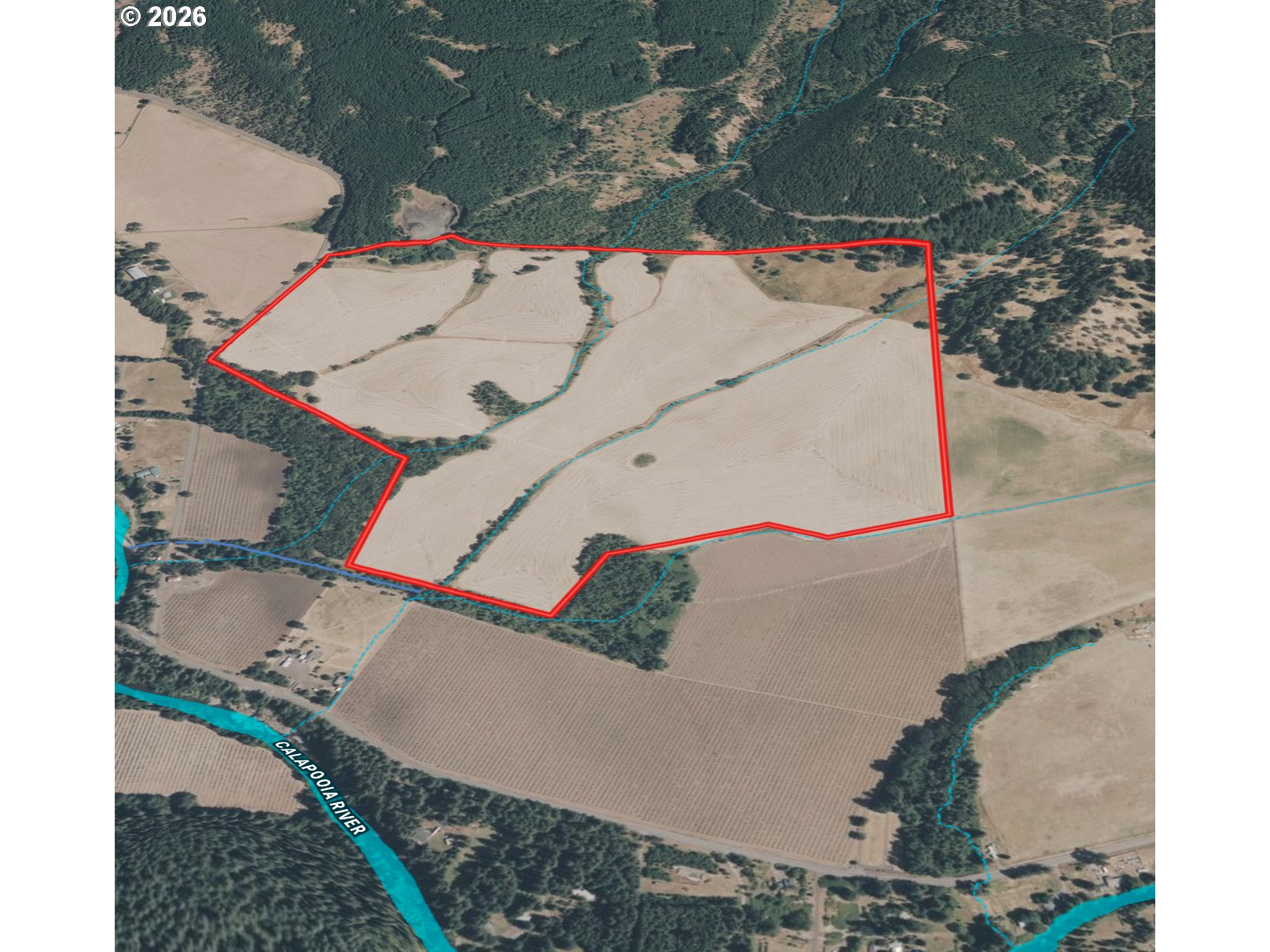 main property photo 2