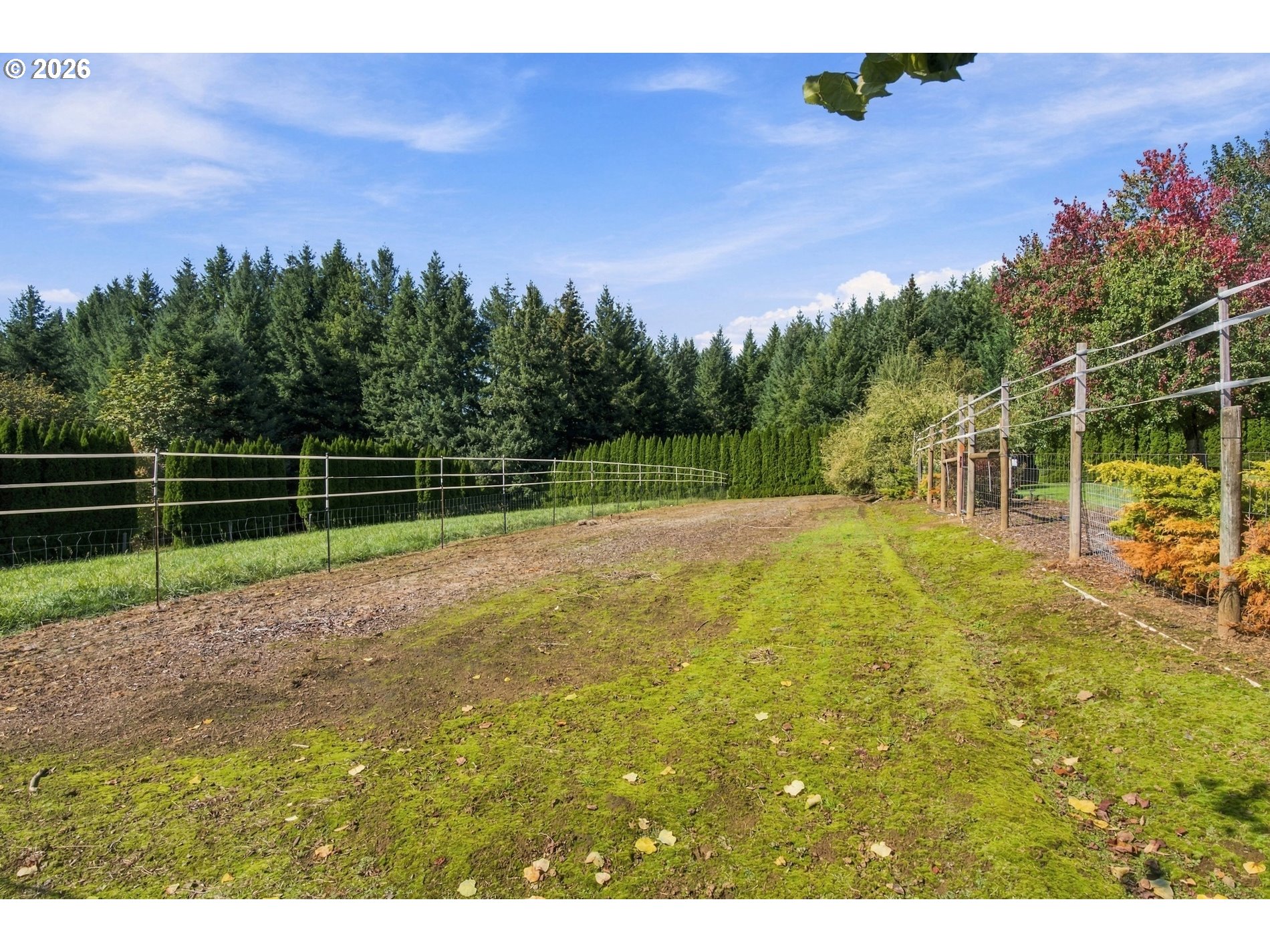 main property photo 43